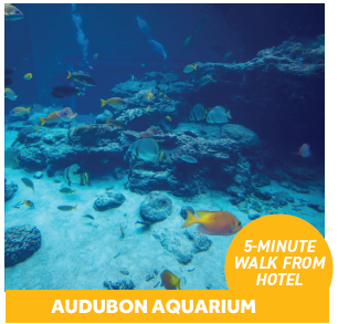 Audobon Aquarium
